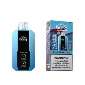 Bang 25000 Puffs Blueberry Ice