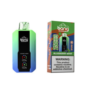 Bang 25000 Puffs Blueberry Mint