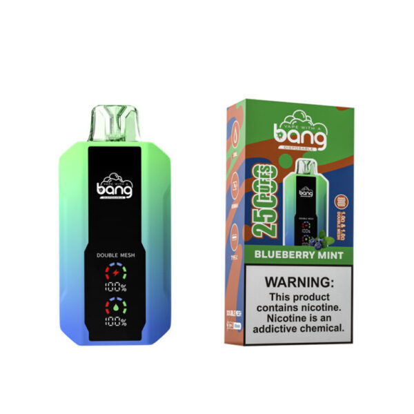 Bang 25000 Puffs Blueberry Mint