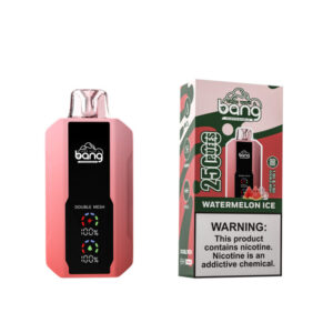Bang 25000 Puffs Watermelon Ice