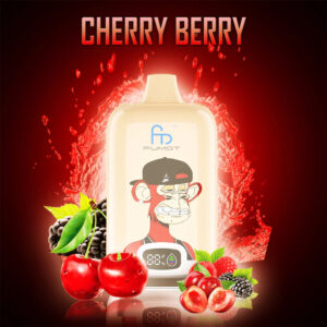 Fumot Digital Box Jednorazowy e-papieros 12000 Buchów o smaku Cherry Berry