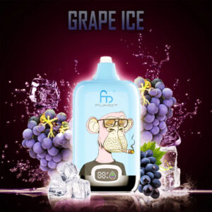 Fumot Digital Box Jednorazowy e-papieros 12000 Buchów o smaku Grape Ice