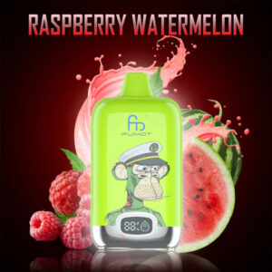 Fumot Digital Box Jednorazowy e-papieros 12000 Buchów o smaku Raspberry Watermelon