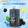 Merry Mi Blade Jednorazowy e-papieros 30000 Buchów o smaku Breezy Lemon Berry
