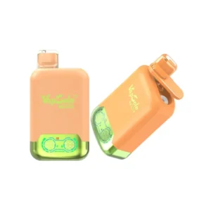 Vapsolo Twins 20000 Puffs Lemon Lime & Watermelon Ice