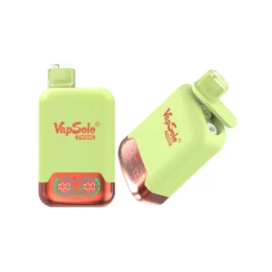 Vapsolo Twins 20000 Puffs Watermelon Ice & Mixed Berry