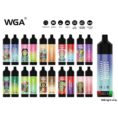 WGA 40000