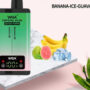 WGA Crystal Plus 20 000 Banana Ice Guava Ice